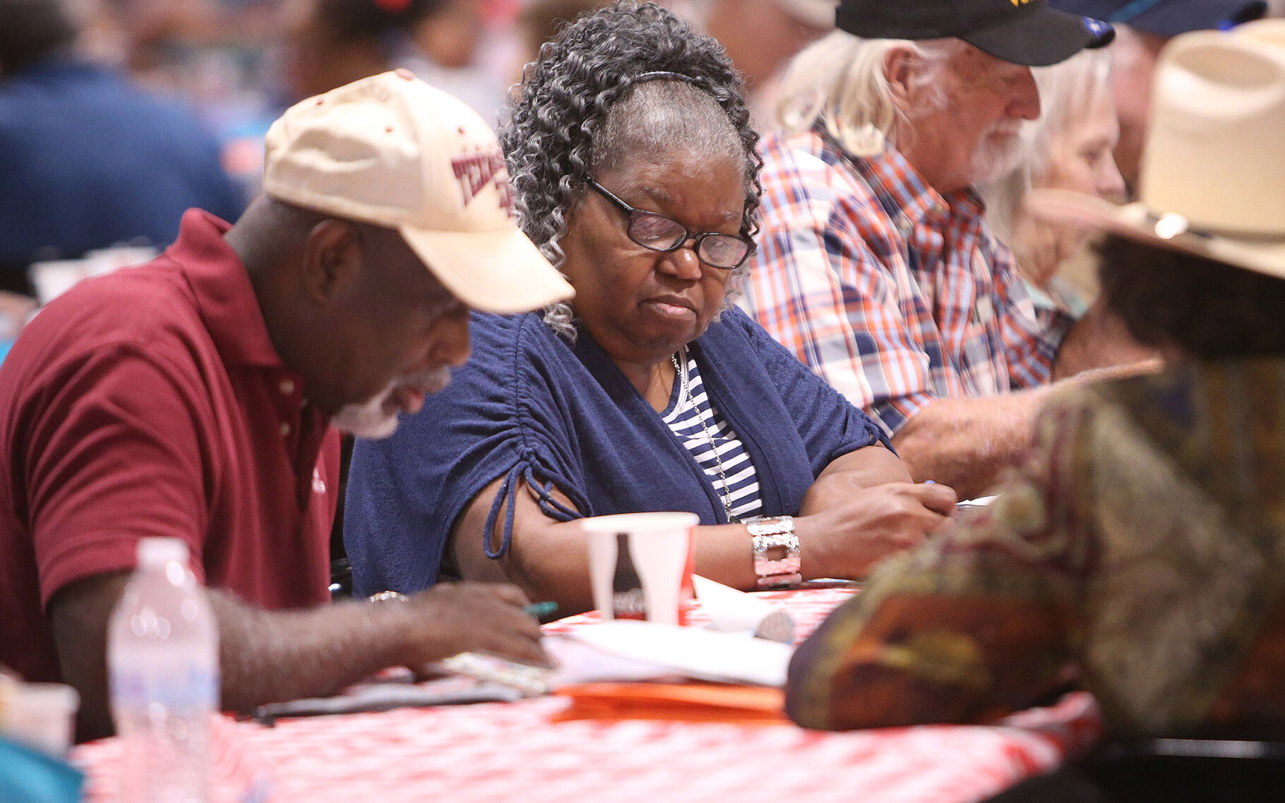 Senior Citizens Day